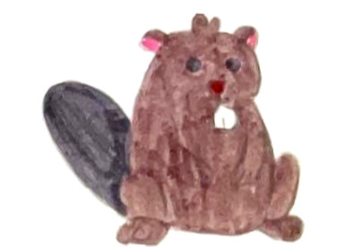 Zeichnung eines Bibers